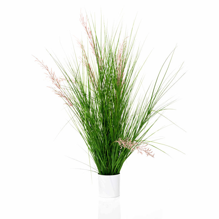 FIRRY Reed Grass