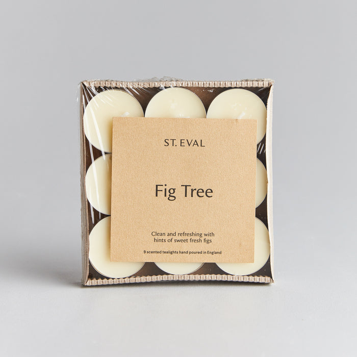 St Eval Fig Tree Tealights